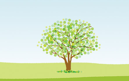 みつわ樹木葬須坂霊園の自然葬区画の納骨イメージ