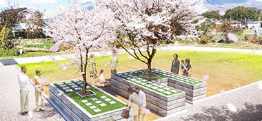 大きな桜の木が印象的な樹木葬霊園のイメージ